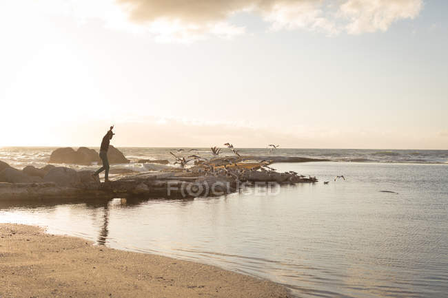 Человек ходит по скале возле морского побережья во время заката — стоковое фото