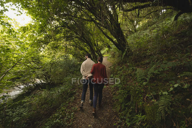 Visão traseira do casal andando no caminho — Fotografia de Stock