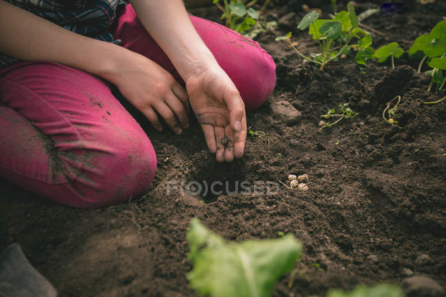 Baixa seção de menina plantando sementes em estufa — Fotografia de Stock