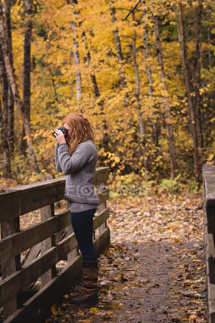 Donna testa rossa che fotografa nella foresta autunnale — Foto stock