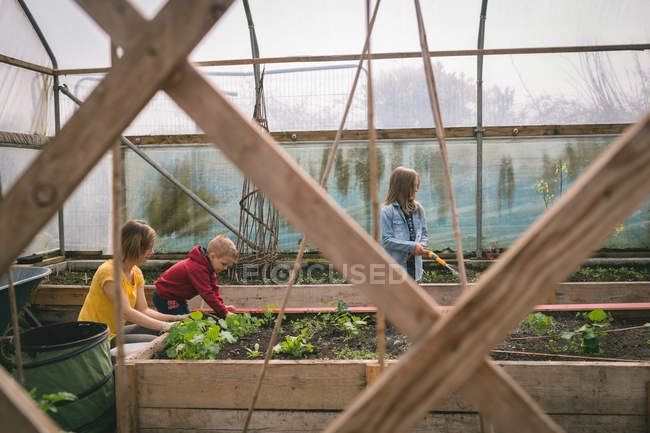 Kids helping mother in greenhouse plantation by watering saplings — Stock Photo