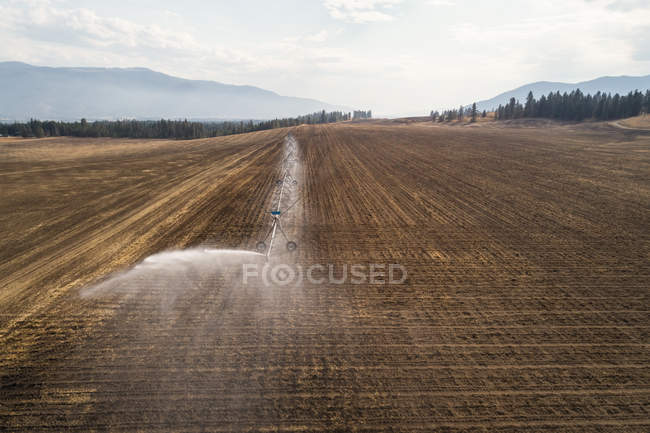 Sistema di irrigazione spruzzando acqua in campo in una giornata di sole — Foto stock