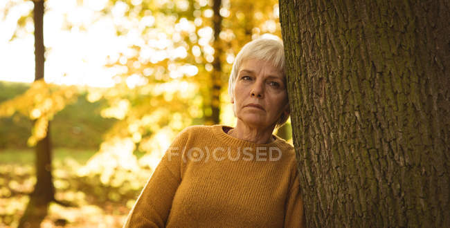 Mulher sênior pensativo inclinando-se no tronco da árvore no parque em um dia ensolarado — Fotografia de Stock