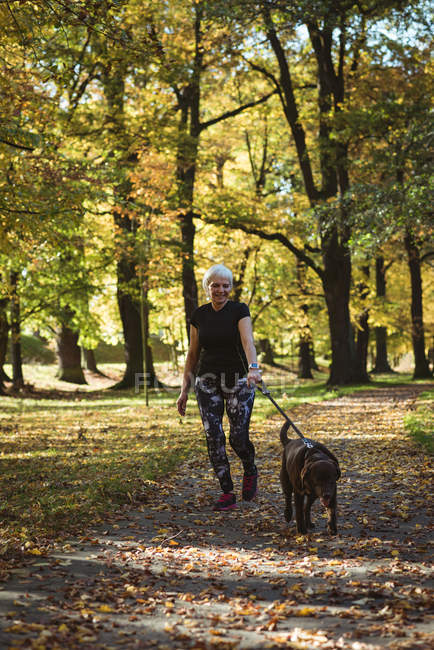 Старша жінка, що гуляє в парку зі своїм домашнім собакою в сонячний день — стокове фото
