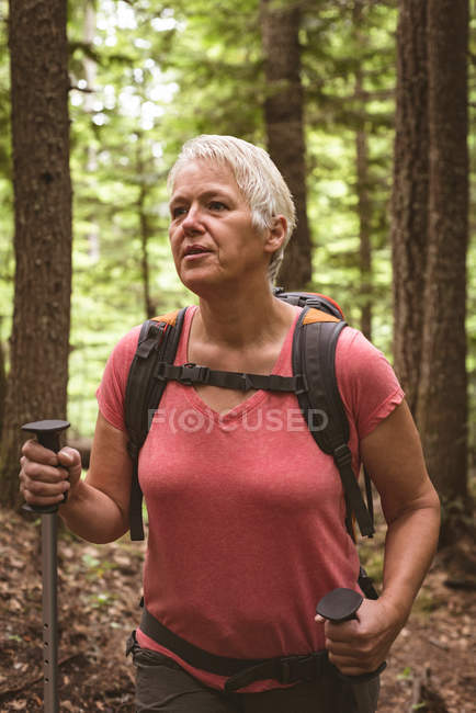 Зрелая женщина с походными палками гуляет по лесу — стоковое фото