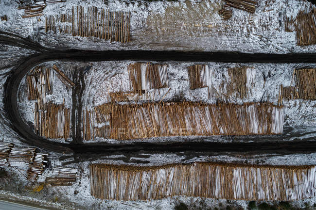 Pilha de troncos de madeira mantidos no meio da estrada sinuosa nevada durante o inverno — Fotografia de Stock