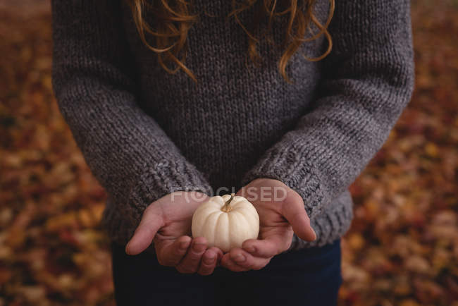 Средняя часть женщины держит белую тыкву осенью — стоковое фото