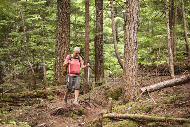 Donna matura che cammina con bastoni da trekking nella foresta — Foto stock