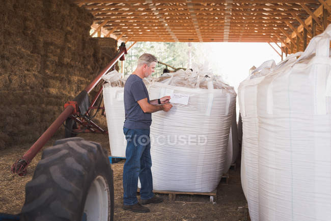 Man packing grains in sack at factory — Stock Photo