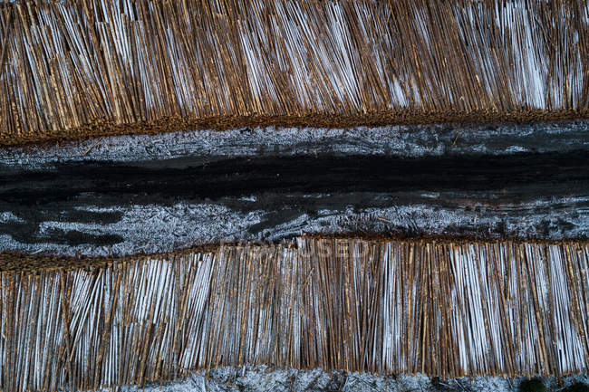Стопка деревянных бревен, хранящихся вдоль дороги зимой — стоковое фото