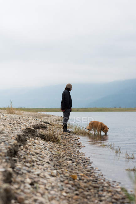 Чоловік дозволяє собаці пити воду з берега річки — стокове фото