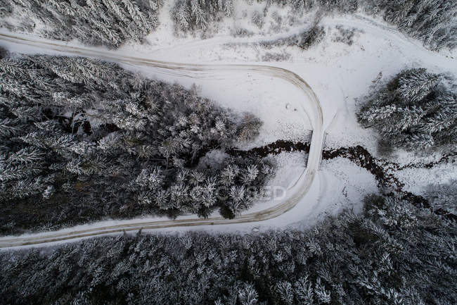 Вид зверху на звивисту дорогу, що проходить через сніговий покритий ліс — стокове фото
