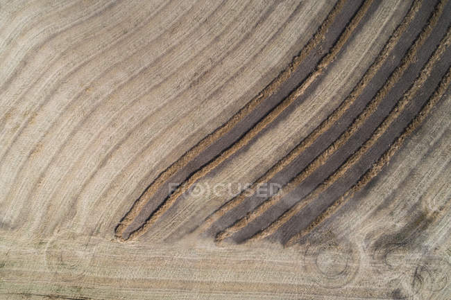 Aerial of lines on harvested wheat field — Stock Photo