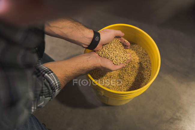 Чоловік вивчає зерна в мішку на заводі — стокове фото