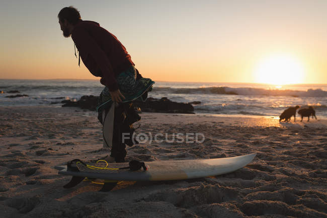 Prancha de surf removendo terno molhado na praia durante o pôr do sol — Fotografia de Stock