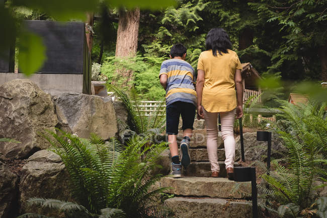 Rear view of mother and son walking in the garden — Stock Photo