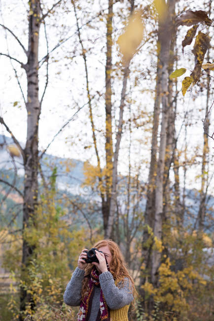 Hermosa mujer tomando fotos de bosque de otoño con cámara digital - foto de stock