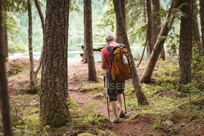 Rückansicht einer reifen Frau, die mit Wanderstöcken im Wald spaziert — Stockfoto