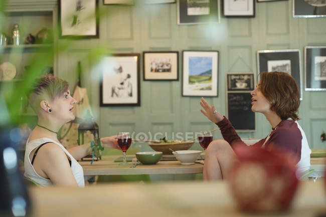 Couple lesbien dînant avec des verres de vin rouge dans le salon moderne . — Photo de stock