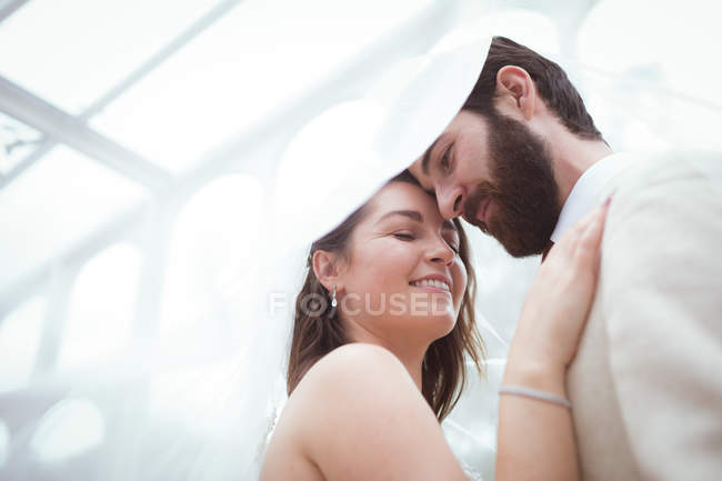 Крупний план усміхненої нареченої і нареченої, що стоїть під завісою — стокове фото
