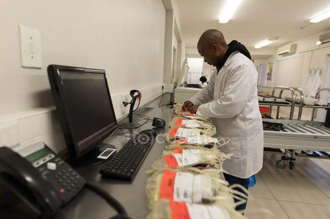 Лабораторний технік, що аналізує плазмові пакети в банку крові — стокове фото