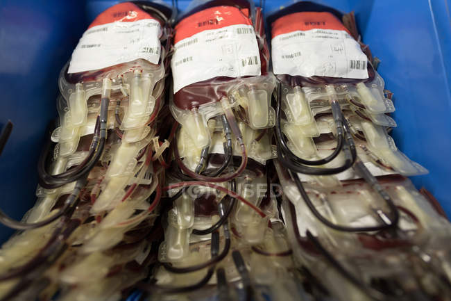 Gros plan des sacs de sang dans un plateau à la banque de sang — Photo de stock