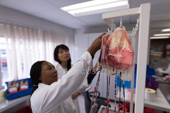 Laboratory technician analyzing blood bags in blood bank — Stock Photo