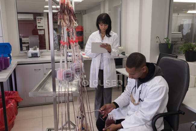 Лаборант анализирует пакет крови в банке крови — стоковое фото