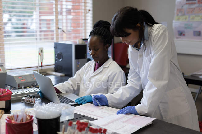 Técnicos de laboratorio trabajando juntos en banco de sangre - foto de stock