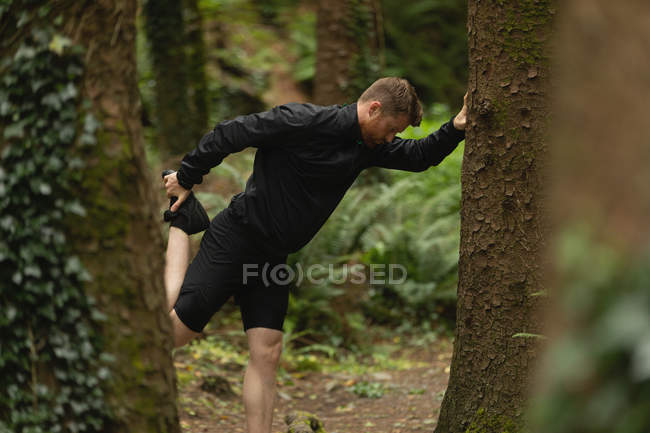 Молодой человек делает растяжку в лесу — стоковое фото