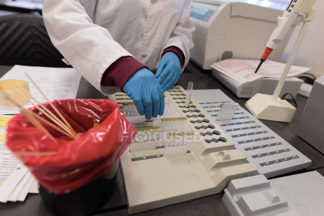 Section médiane du technicien de laboratoire travaillant dans une banque de sang — Photo de stock