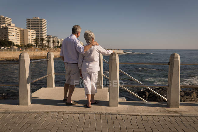 Vue arrière du couple de personnes âgées debout près du bord de mer à la promenade — Photo de stock
