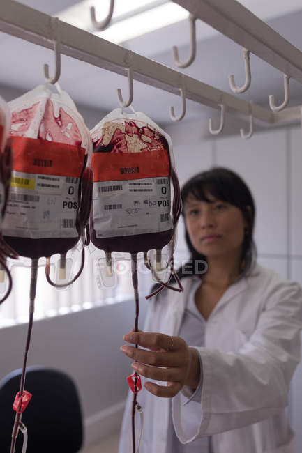 Лаборант анализирует пакеты крови в банке крови — стоковое фото