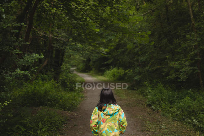 Вид сзади девушки, стоящей в одиночестве на лесной тропе — стоковое фото
