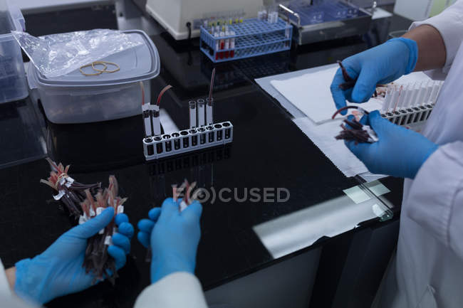Sezione intermedia dei tecnici di laboratorio che tengono le etichette nella banca del sangue — Foto stock