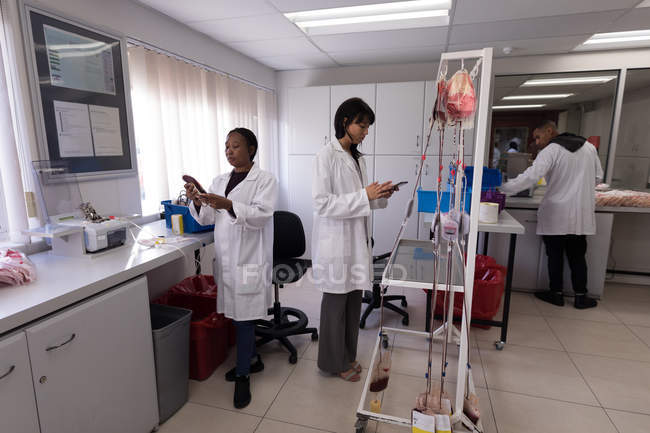 Лабораторные техники работают вместе в банке крови — стоковое фото