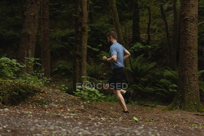 Joven trotando en sendero forestal - foto de stock