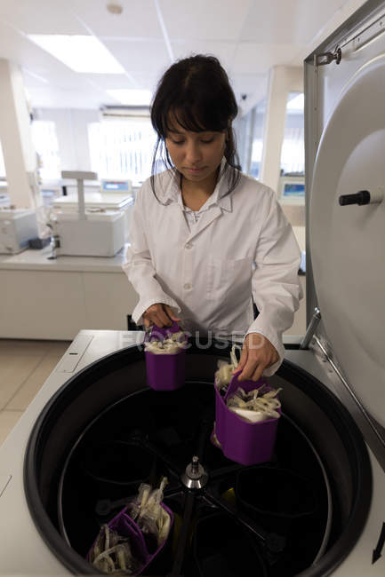 Лабораторний технік розміщення мішків крові в машині в банку крові — стокове фото