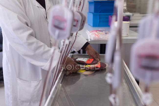 Лаборант анализирует пакет крови в банке крови — стоковое фото