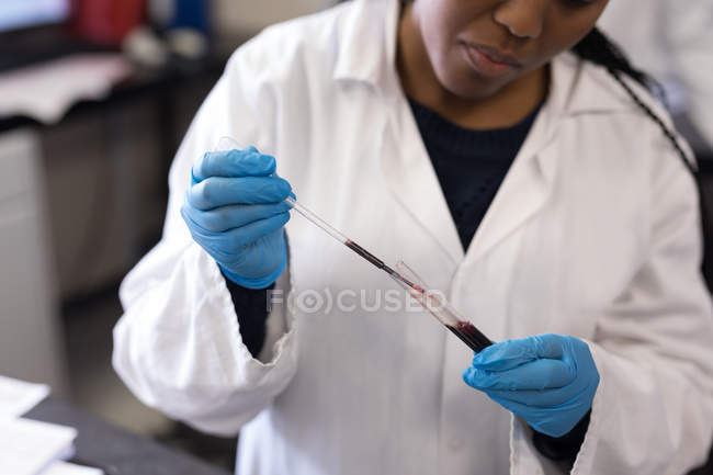 Técnico de laboratorio analizando muestras de sangre en banco de sangre - foto de stock