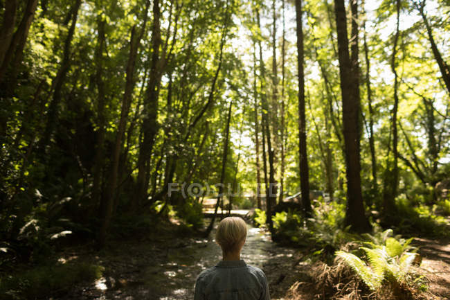 Vista trasera de la mujer de pie en el bosque - foto de stock