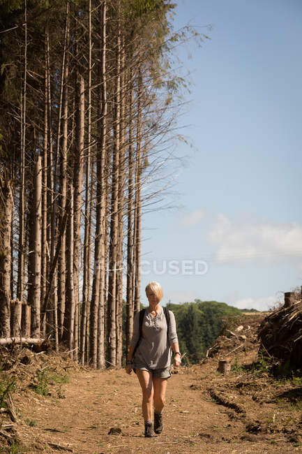 Femme marchant dans la forêt par une journée ensoleillée — Photo de stock