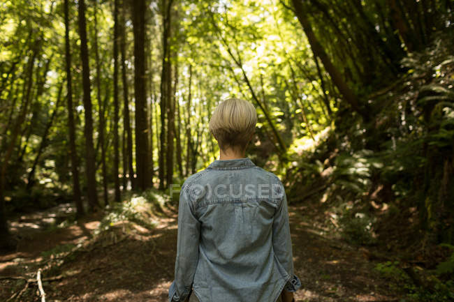 Vista posteriore della donna in piedi nella foresta — Foto stock