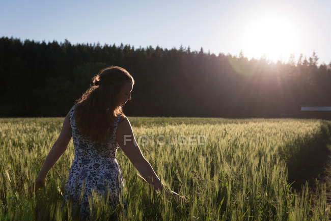 Mujer tocando la cosecha en el campo en un día soleado - foto de stock
