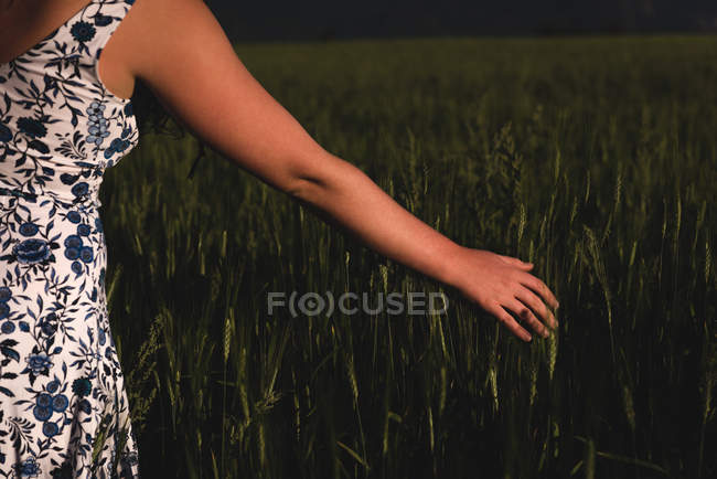 Mittelteil der Frau berührt Ernte auf dem Feld — Stockfoto