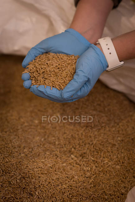 Close-up of female worker checking grains at warehouse — Stock Photo