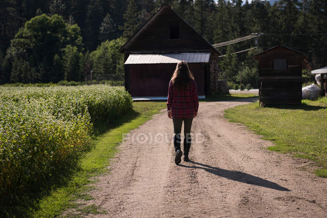 Rückansicht einer Frau, die auf dem Feld geht — Stockfoto