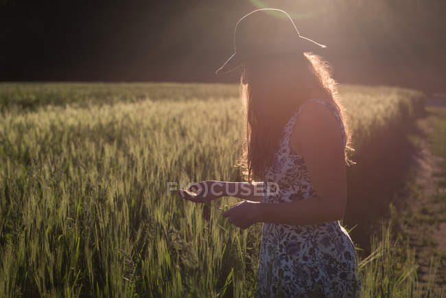 Mujer sosteniendo cultivos en el campo en un día soleado - foto de stock