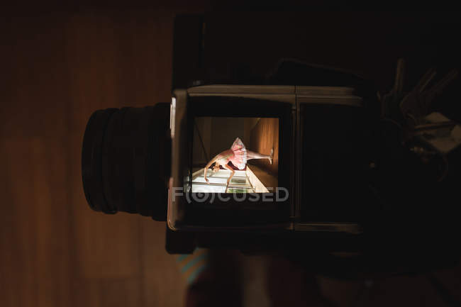 Close-up of ballet dancer in camera screen — Stock Photo
