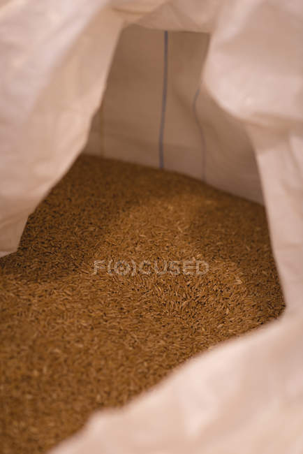 Крупним планом зерна в об'ємному мішку на складі — стокове фото